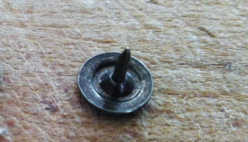bouton-male